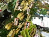 2012京都-6.JPG